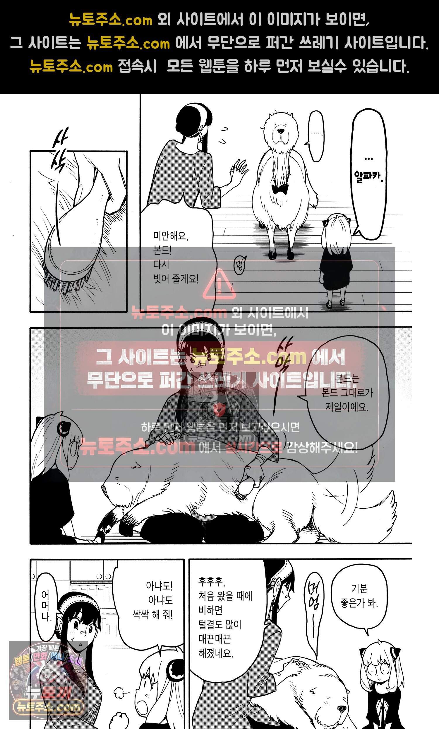 스파이 패밀리 MISSION : 87 13