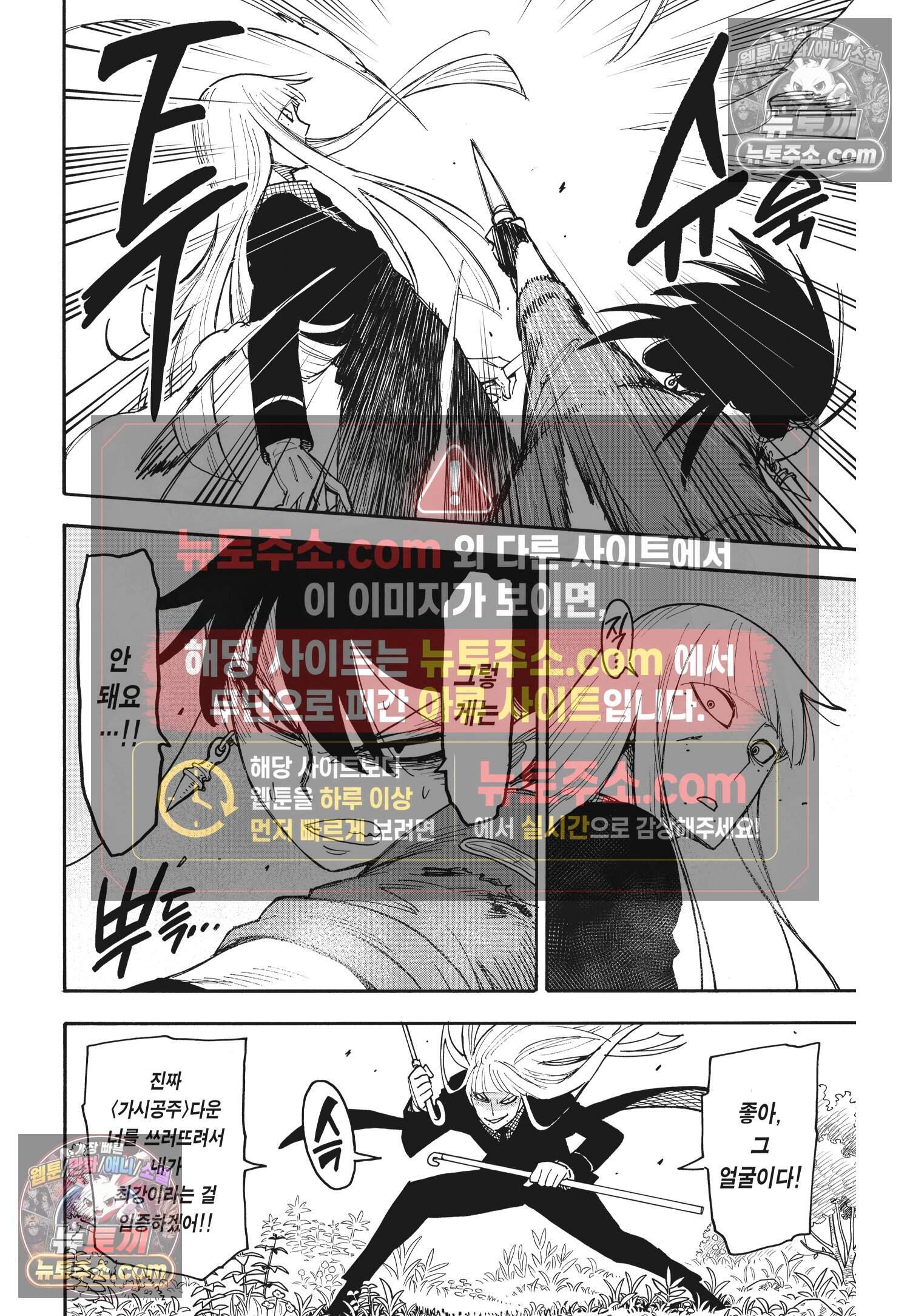 스파이 패밀리 MISSION : 117 13
