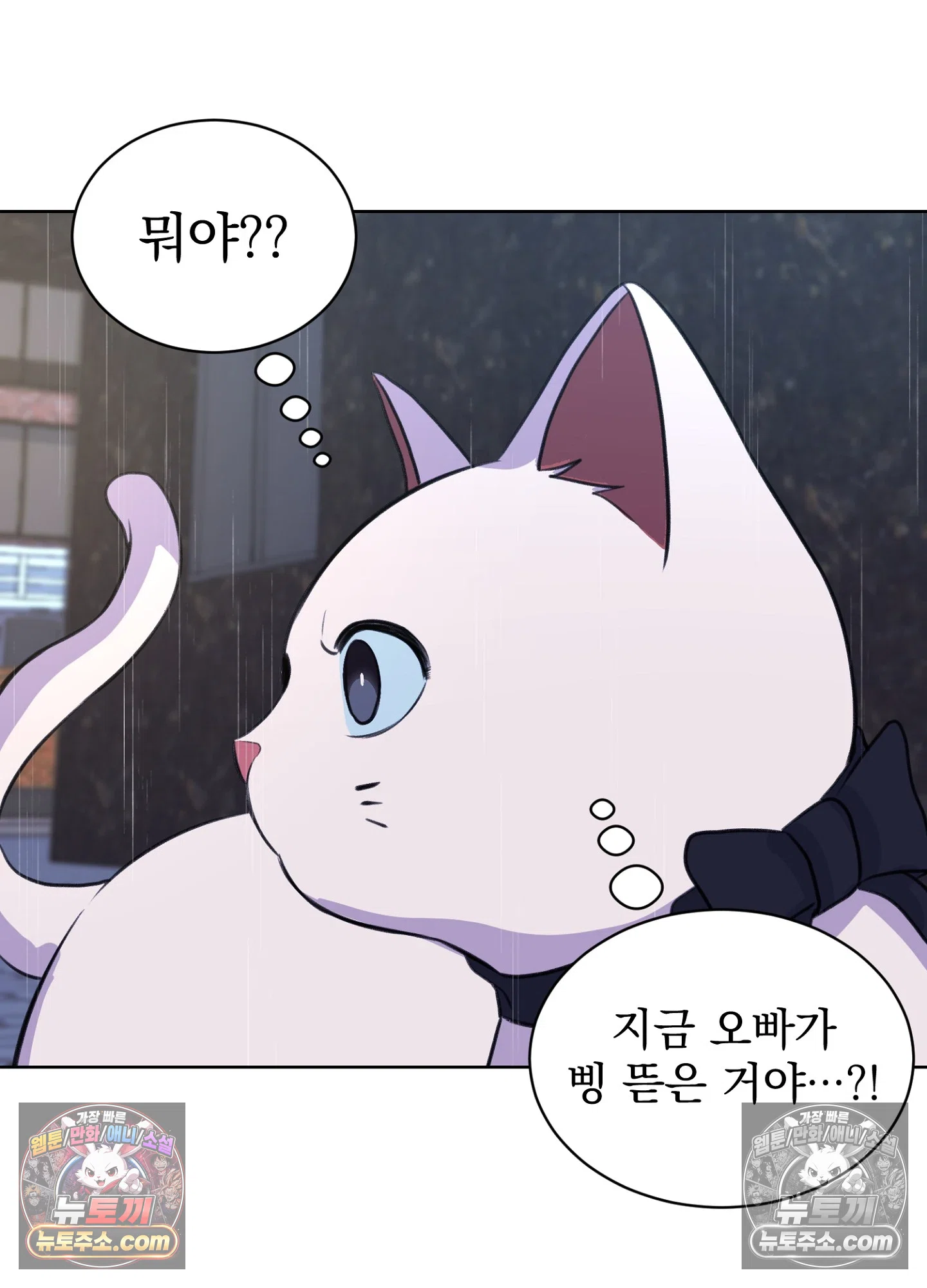 집사가 되어줘 19화 28