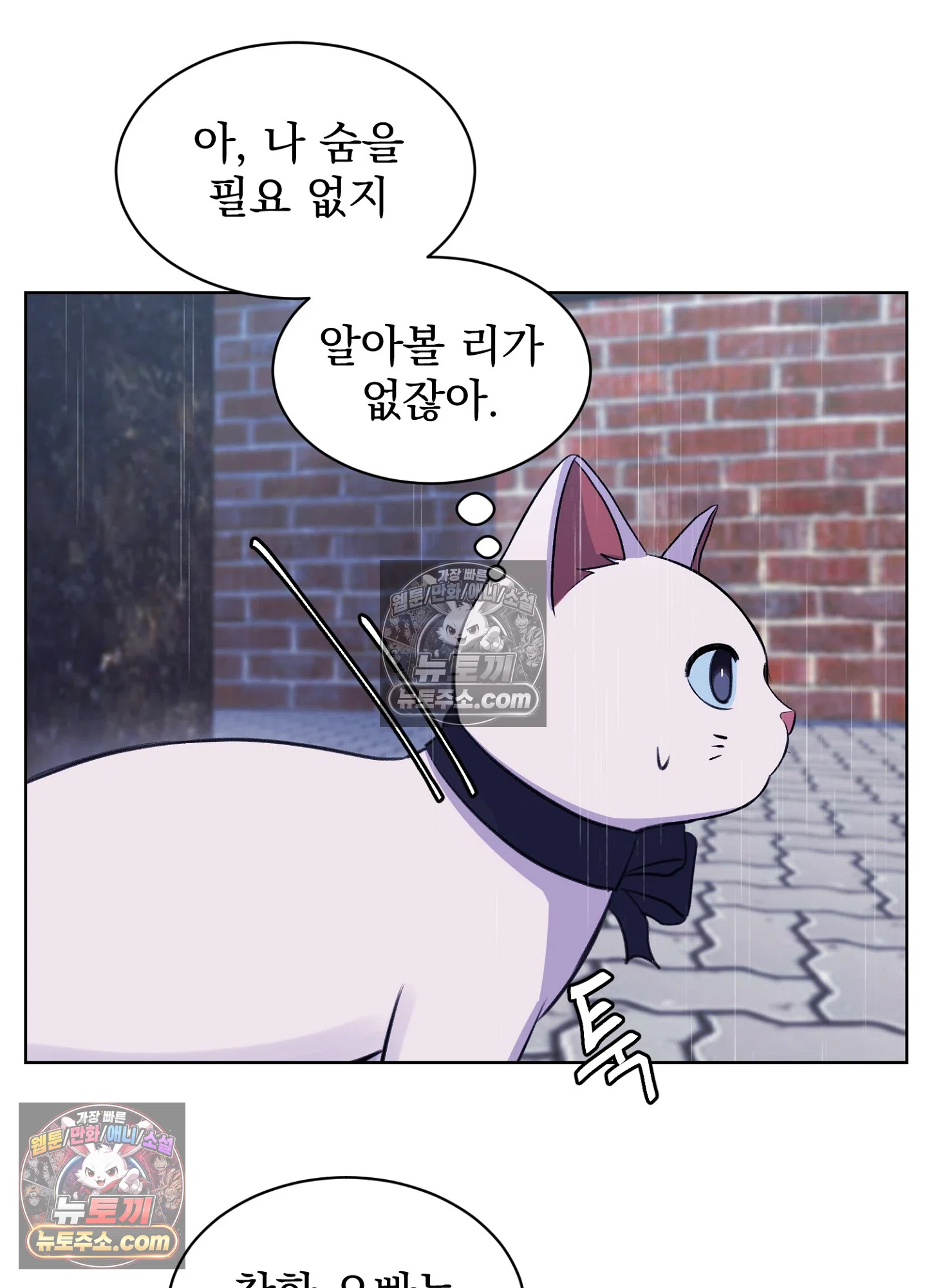 집사가 되어줘 19화 36