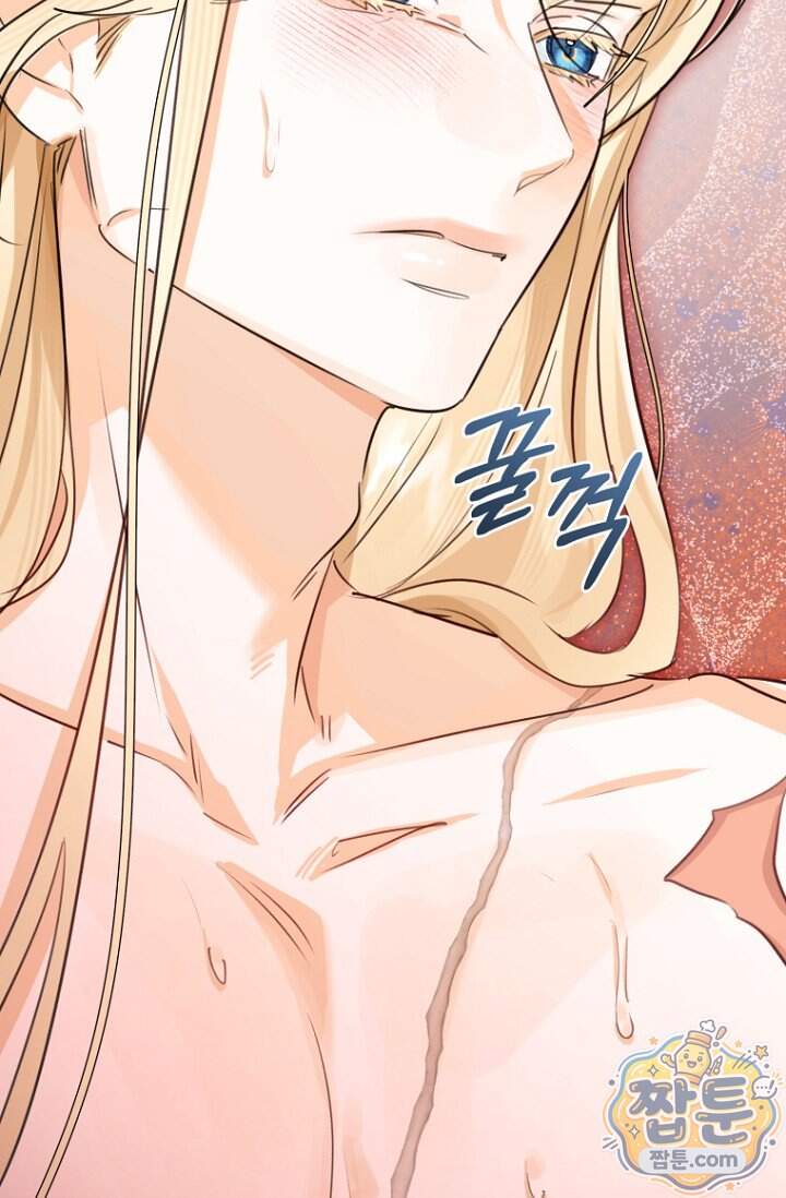 그 대공의 화려한 결혼은 사기 외전 4화 21