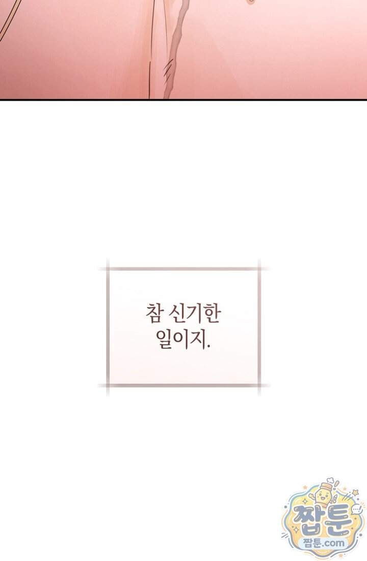 그 대공의 화려한 결혼은 사기 외전 4화 22