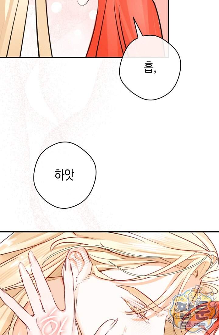 그 대공의 화려한 결혼은 사기 외전 4화 28