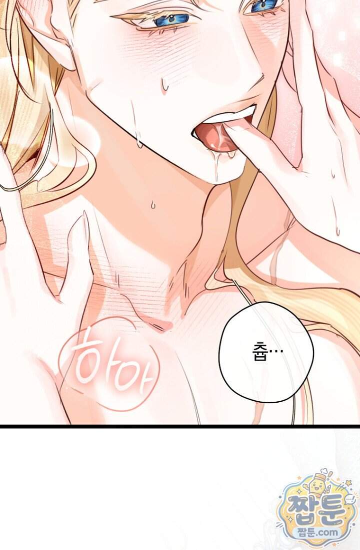 그 대공의 화려한 결혼은 사기 외전 4화 37