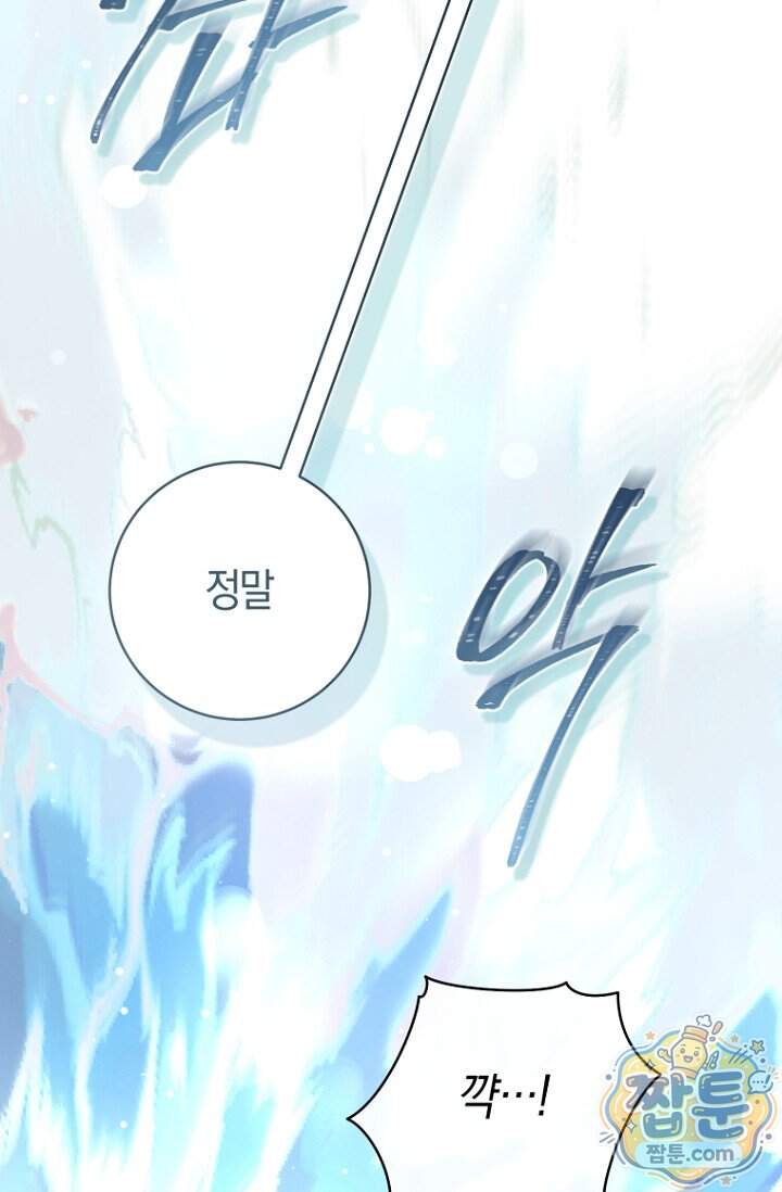 그 대공의 화려한 결혼은 사기 외전 4화 66