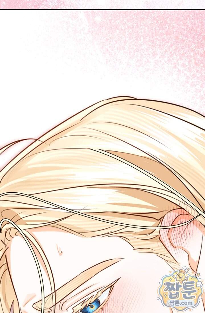 그 대공의 화려한 결혼은 사기 외전 4화 84