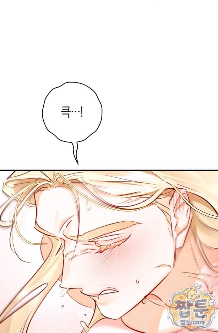 그 대공의 화려한 결혼은 사기 외전 4화 91