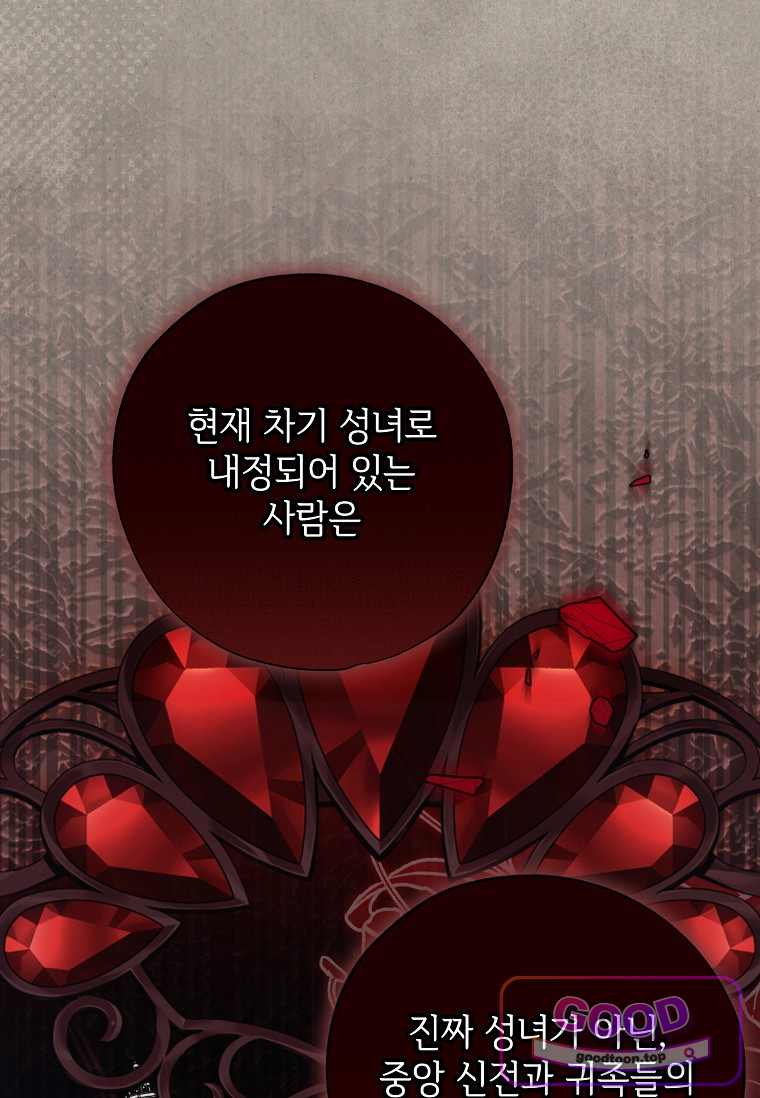 대공가에 입양된 성녀님 97화 12
