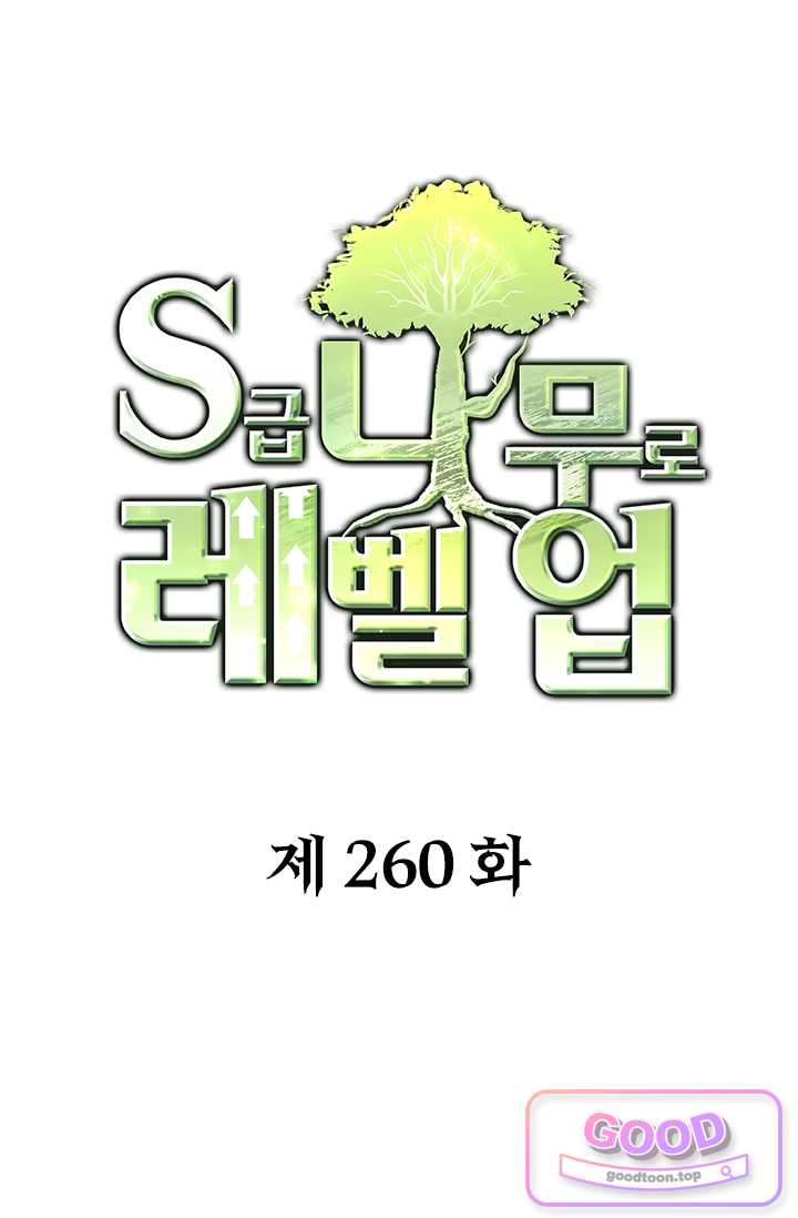 S급 나무로 레벨업 260화 1