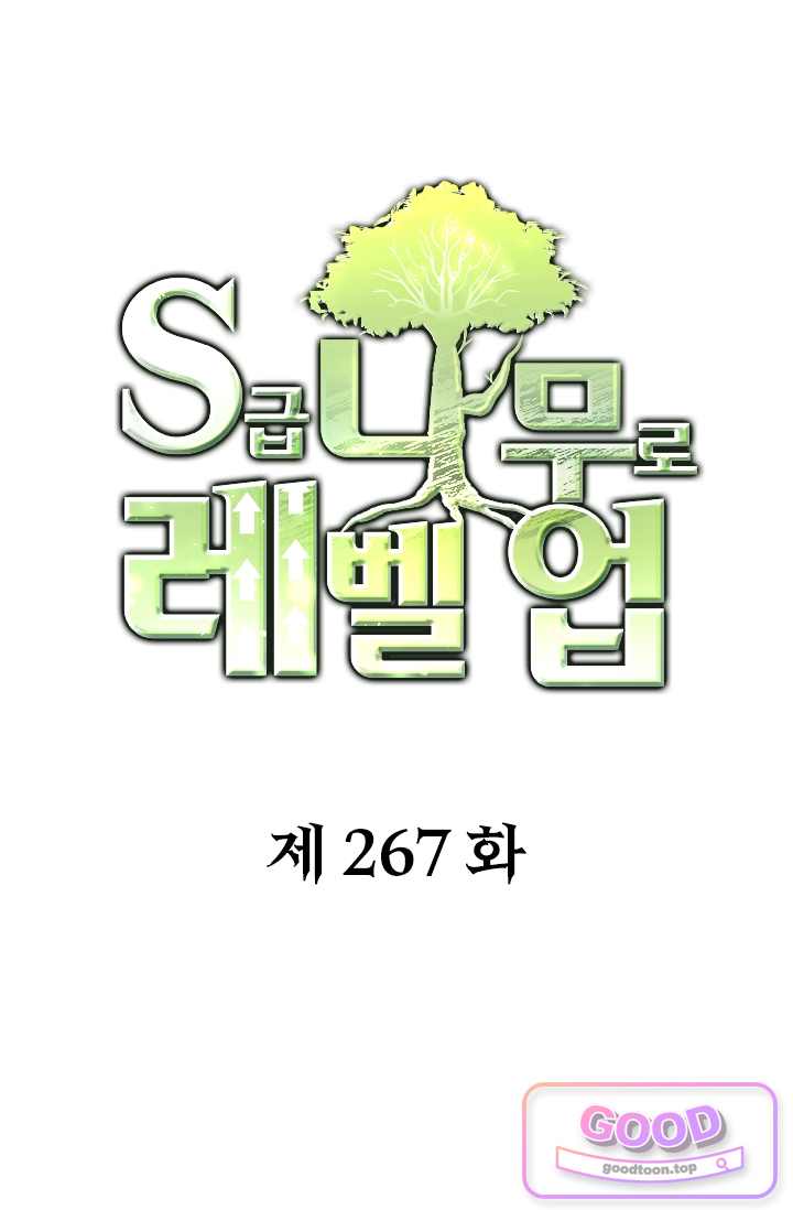 S급 나무로 레벨업 267화 1