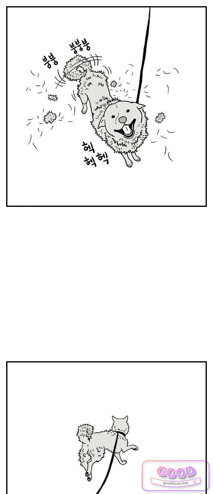 펫로스클럽 52. 인스파이어드 바이 마을 1