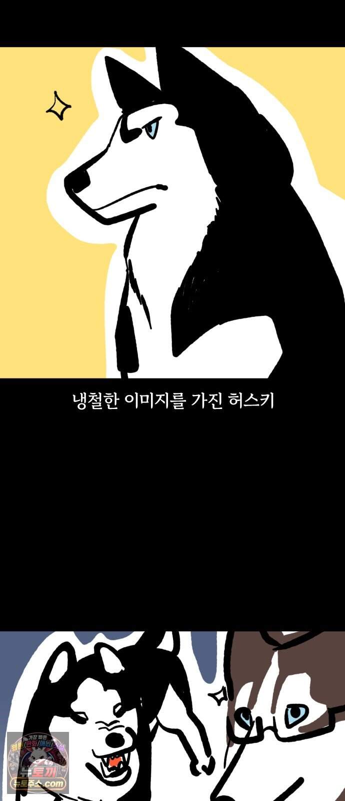 개집사 226화 돌아온 견종 특집-허스키편 2
