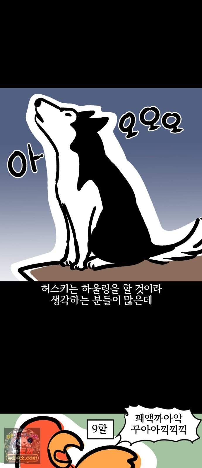 개집사 226화 돌아온 견종 특집-허스키편 4
