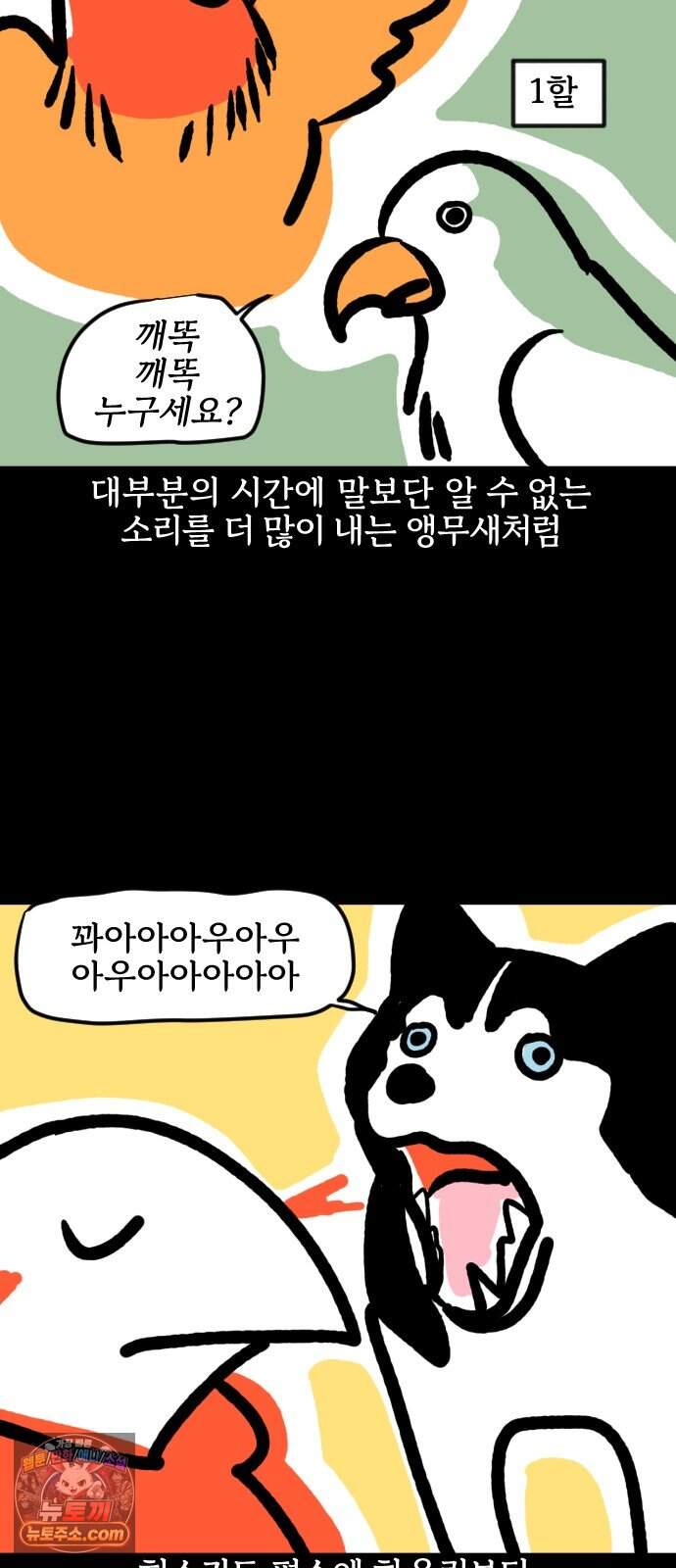 개집사 226화 돌아온 견종 특집-허스키편 5