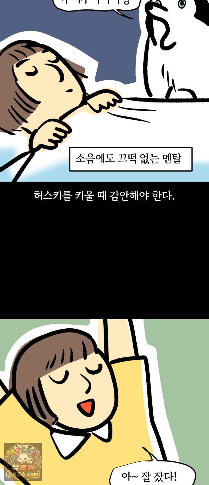 개집사 226화 돌아온 견종 특집-허스키편 7