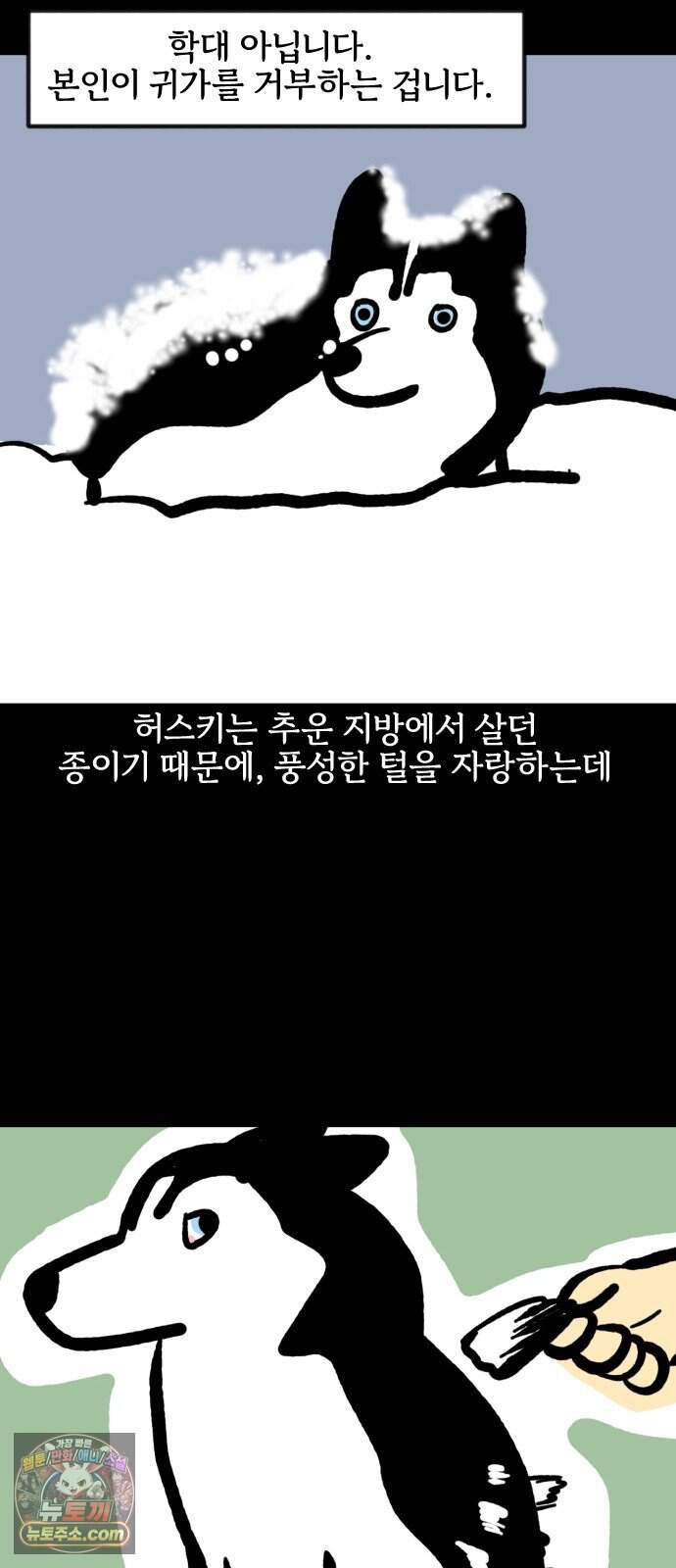 개집사 226화 돌아온 견종 특집-허스키편 9