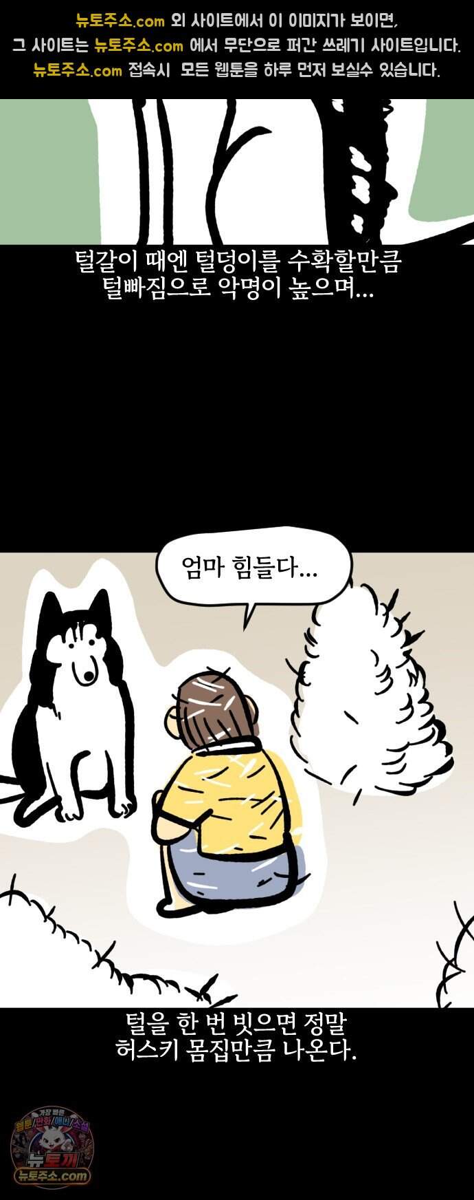 개집사 226화 돌아온 견종 특집-허스키편 10