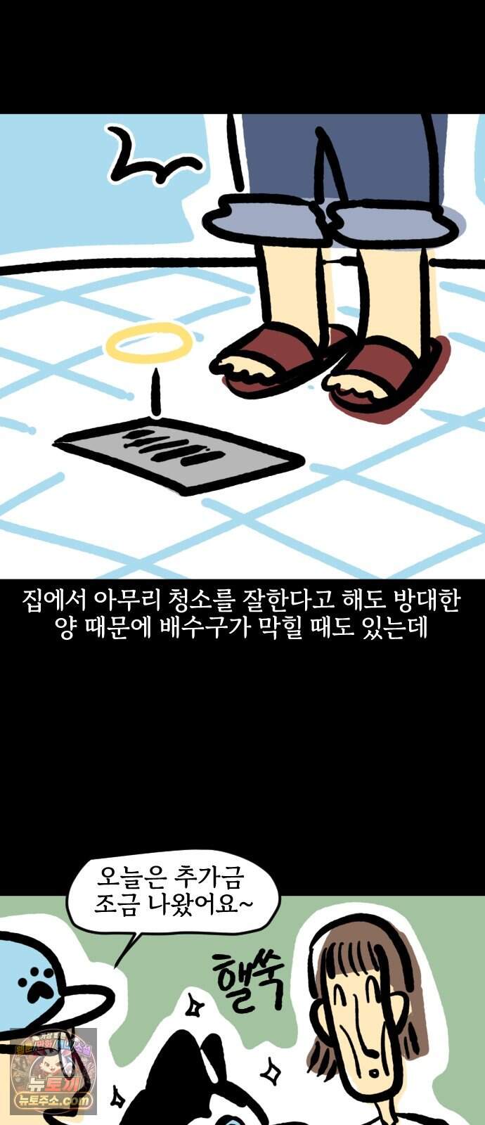 개집사 226화 돌아온 견종 특집-허스키편 11