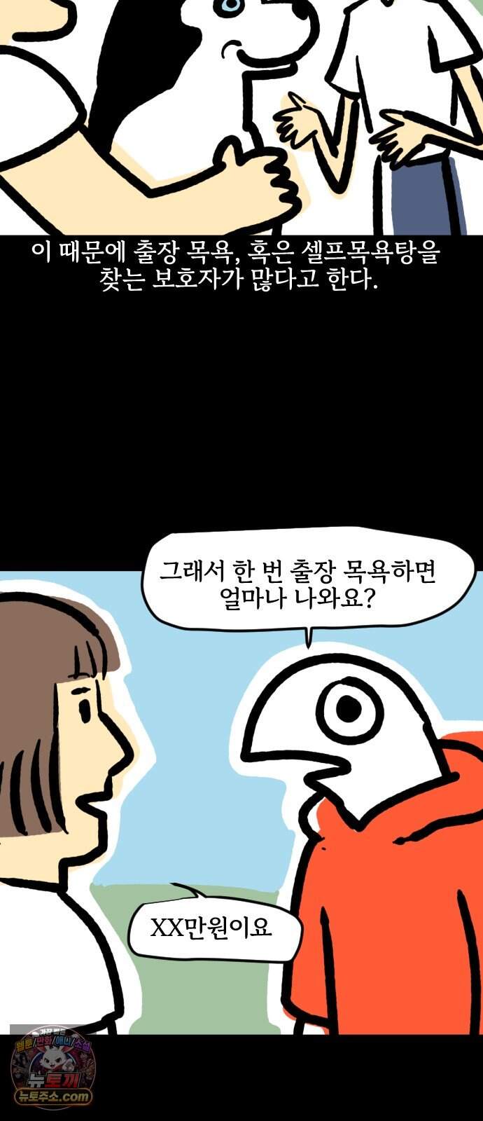 개집사 226화 돌아온 견종 특집-허스키편 12