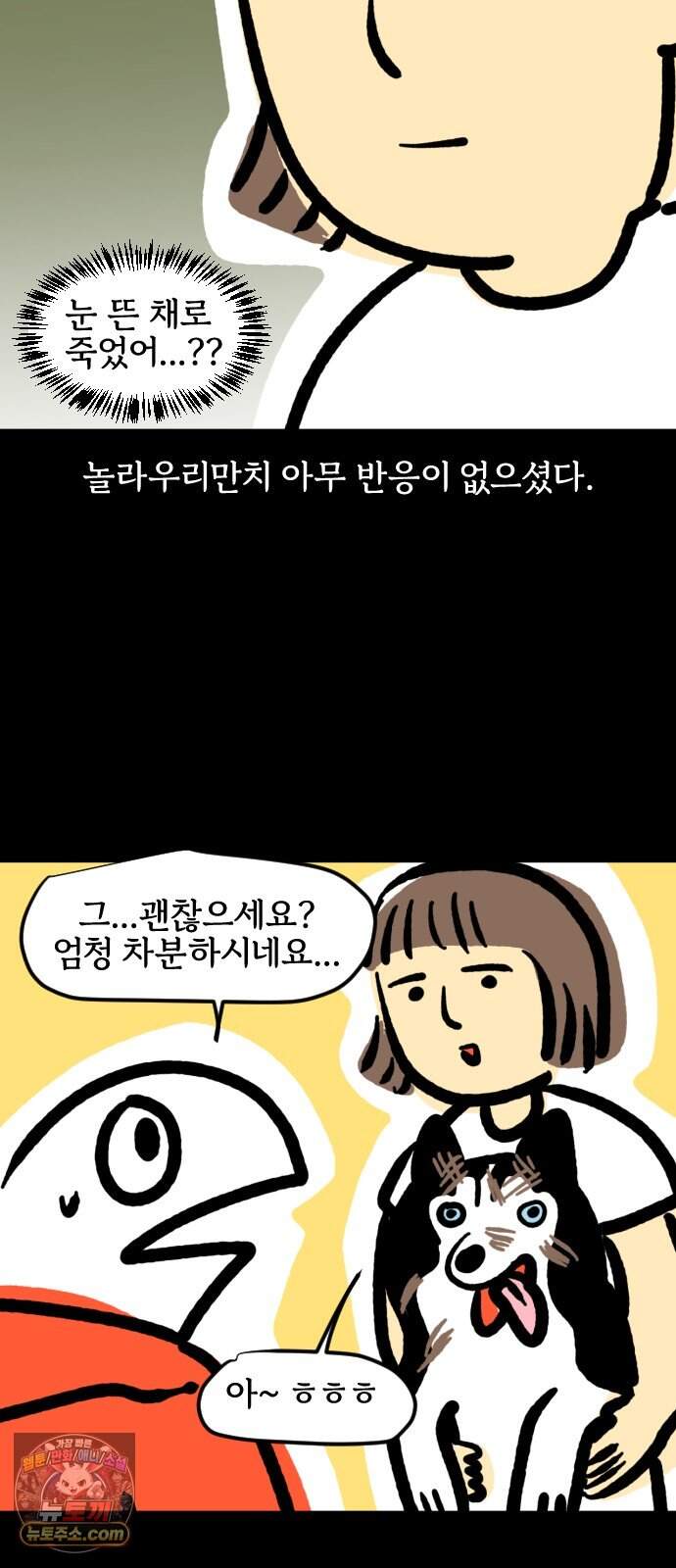 개집사 226화 돌아온 견종 특집-허스키편 16