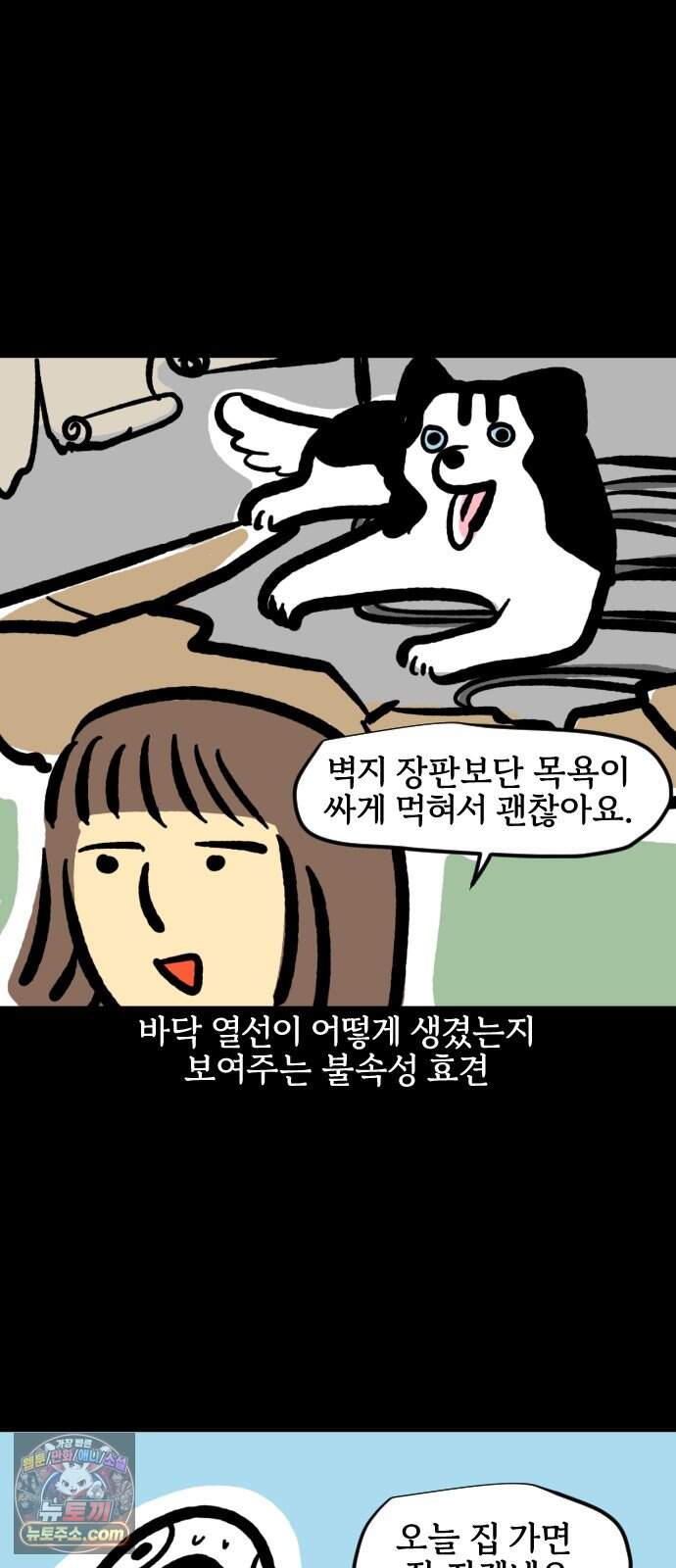 개집사 226화 돌아온 견종 특집-허스키편 17