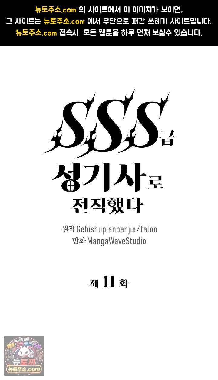 SSS급 성기사로 전직했다 011 1