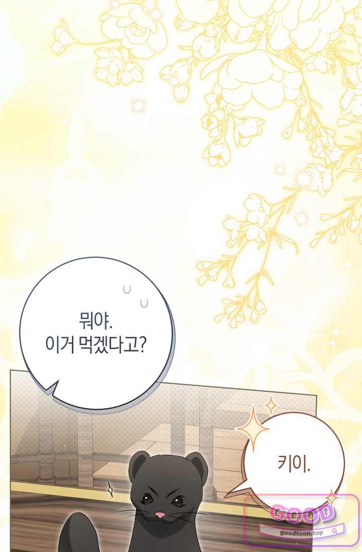사천당가의 시비로 살아남기 43화 11