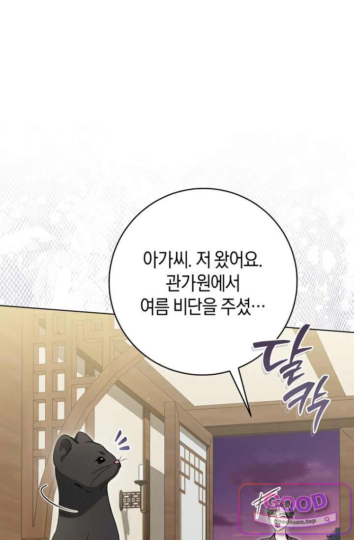 사천당가의 시비로 살아남기 43화 19