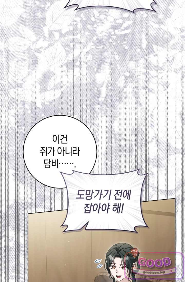 사천당가의 시비로 살아남기 43화 22