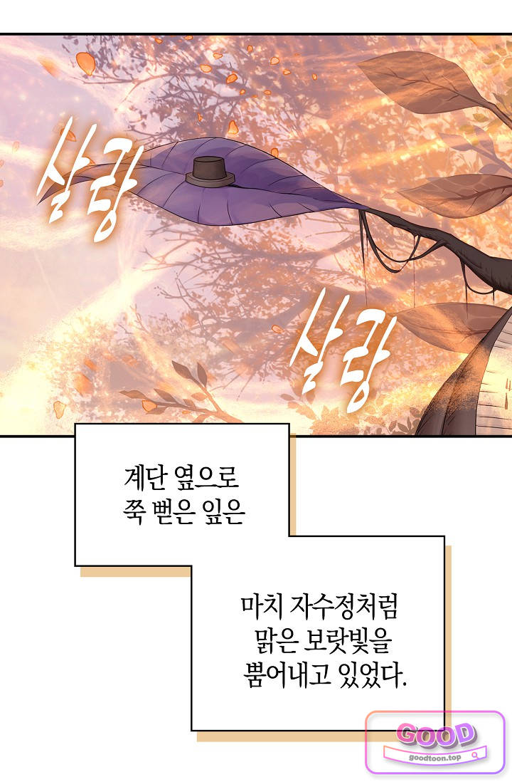 코어 올마스터: 한계 찢고 왕의 길로 78화 코어 올마스터 8