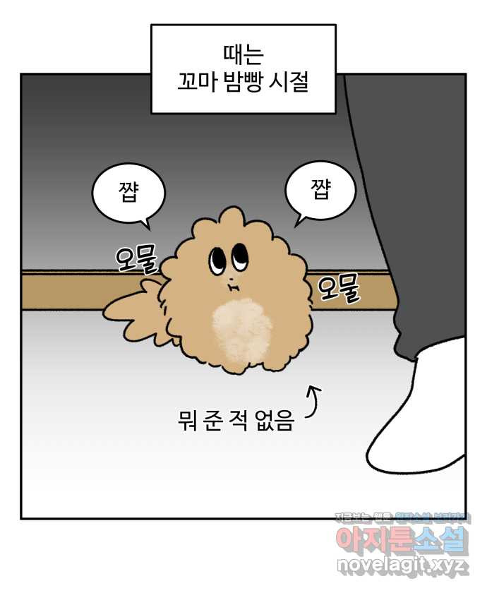 강아지는 멍멍하고 짖지 않아! 59화 - 스테이플러 대소동 1 4