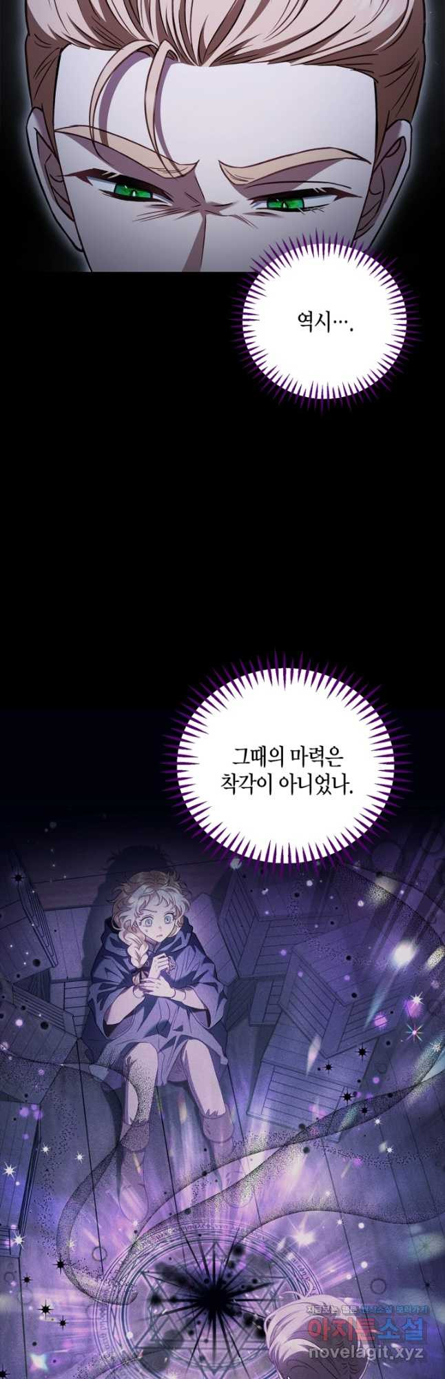 흑막의 독 감별사가 되겠습니다 31화 38