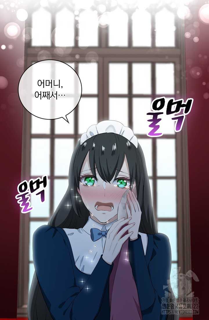 눌리타스 : 절반의 백작 영애 149화 12