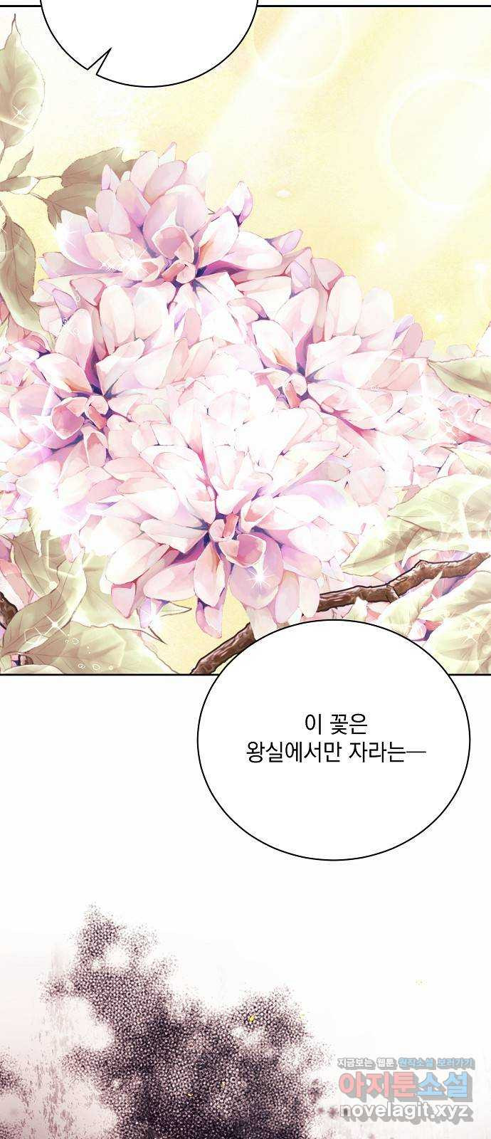 하얀 사자의 비밀 신부 66화 11