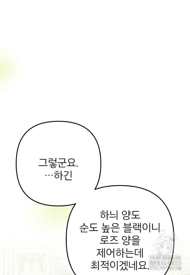 주문을 말해, 로즈! 2부 25화 20