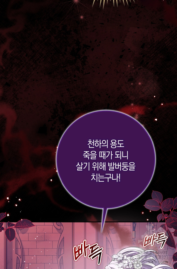 황제가 나를 시한부라고 생각해서 곤란하다 15화 14