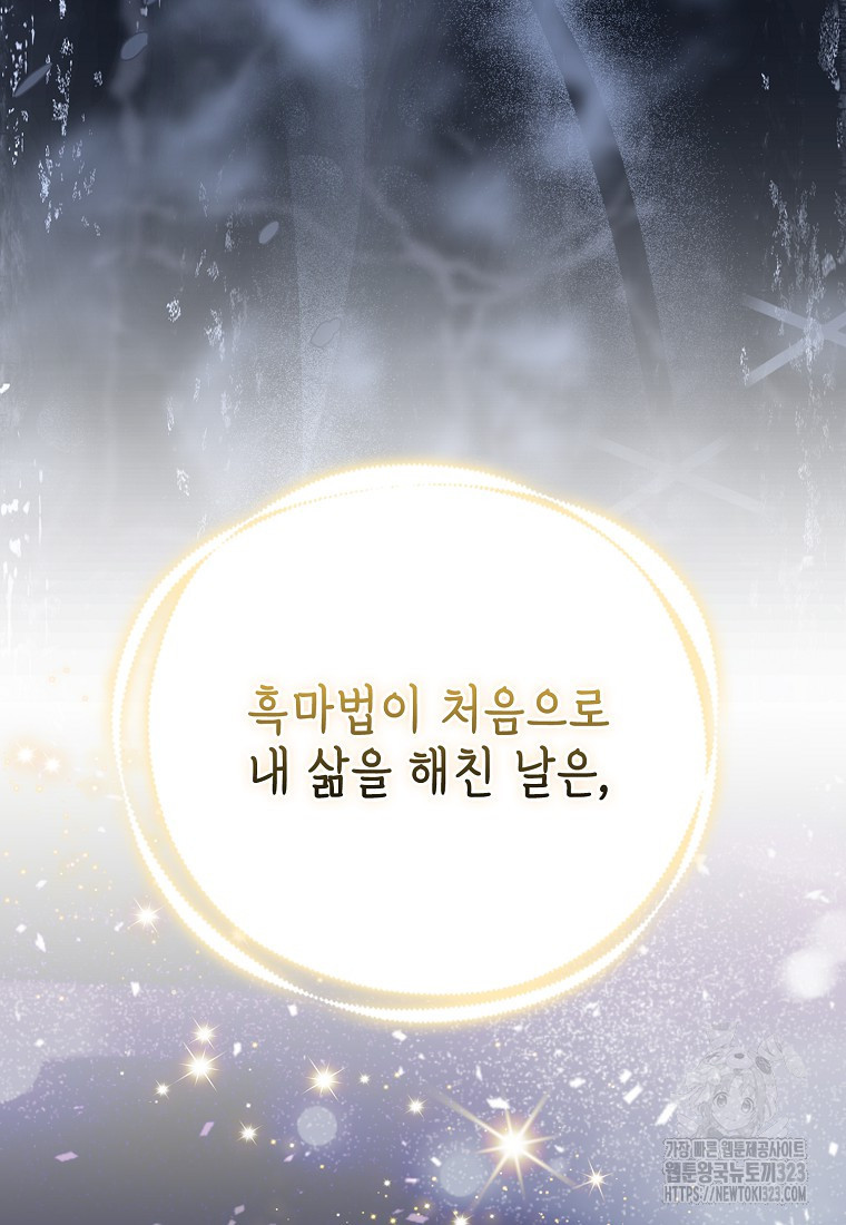 대공가의 여우 황녀님 33화 96