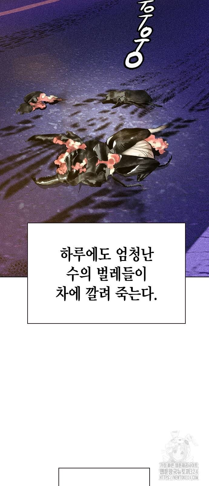 정글쥬스 시즌2 33화 2