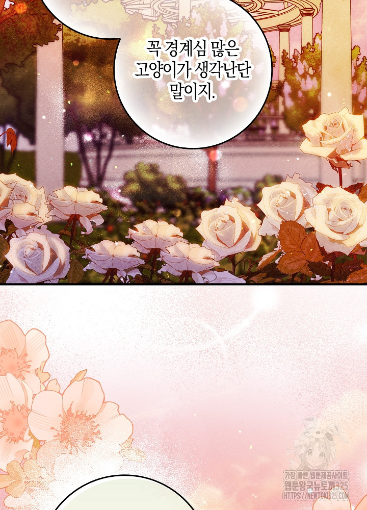 시한부 연인과 비혼 생활 중입니다 15화 91