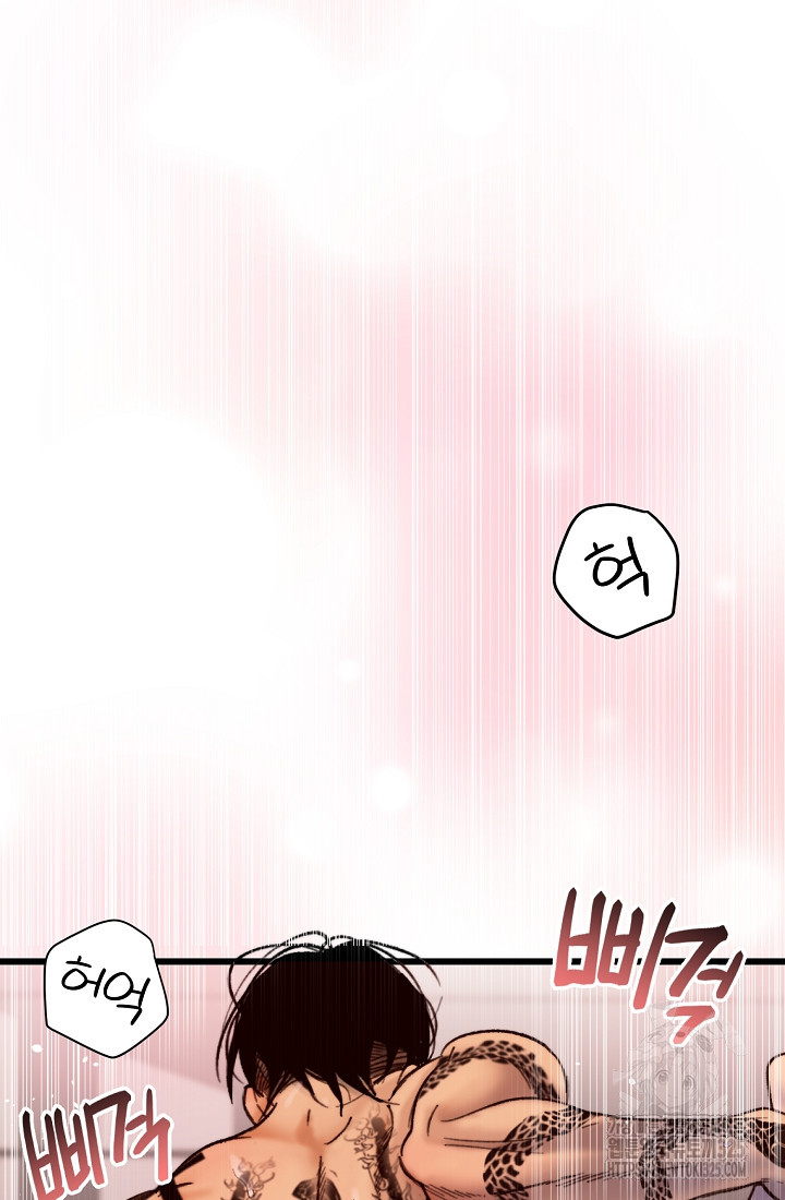 저택 영춘화:낙하산지 블라우스 1화 14