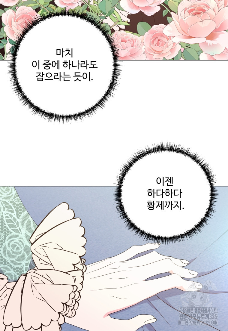 아방튀르 : 왜 하필 역하렘이에요? 38화 17