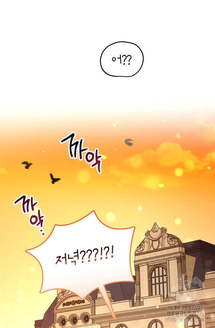 번데기 속 고양이 59화 17