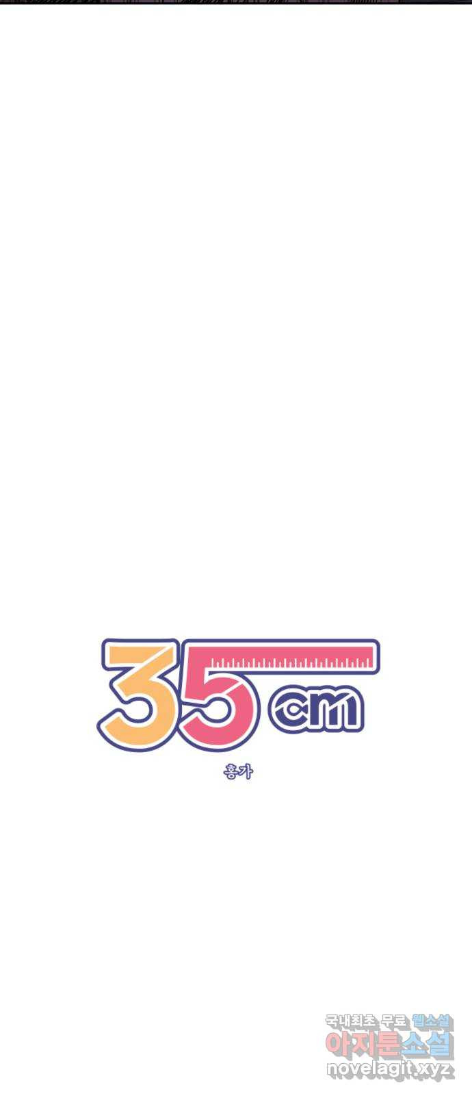 35cm 95화 10